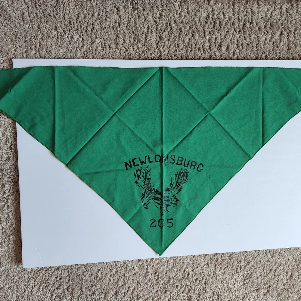 Boy Scouts Newlonsburg 205 bandana